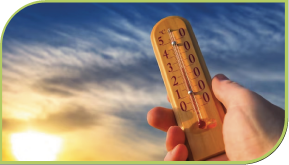 Estudar variação de temperatura e microclima na região