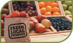 Componente de matéria orgânica do solo