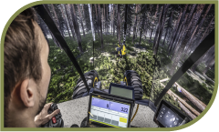 Estudar variação de temperatura e microclima na região