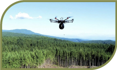 Precipitação histórica, níveis de água